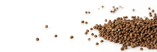 L'huile végétale de Périlla